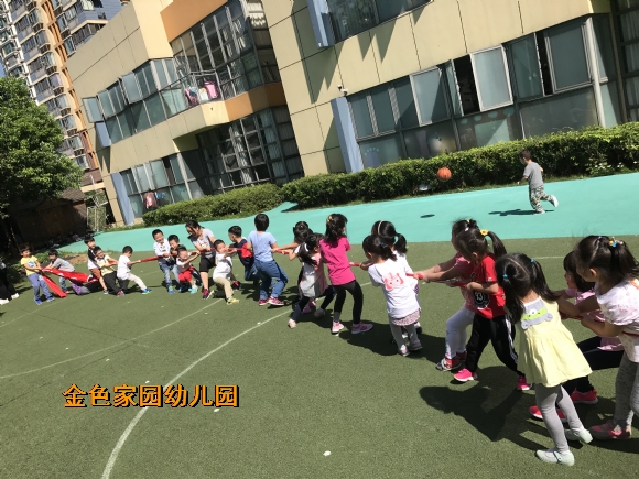 附件：IMG_6203.JPG