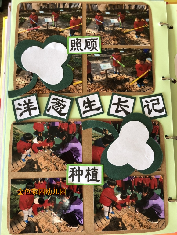 附件：IMG_6991.JPG
