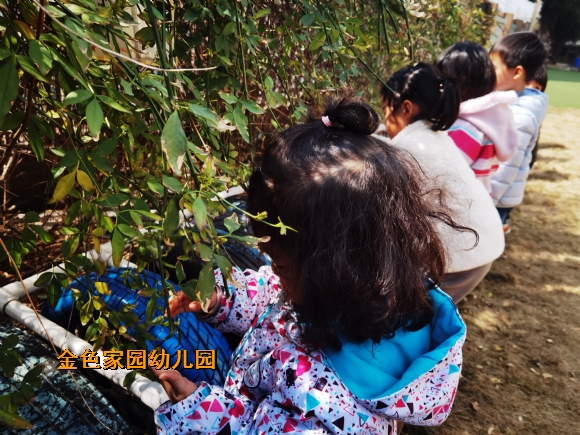 附件：IMG_20220302_114258.jpg
