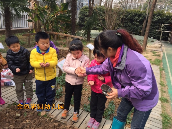 附件：IMG_0305.JPG