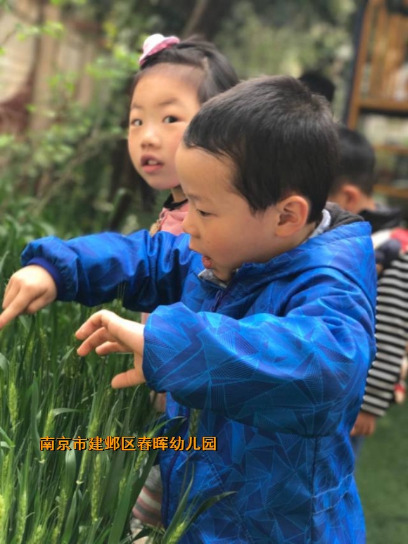 附件：IMG_2941.JPG
