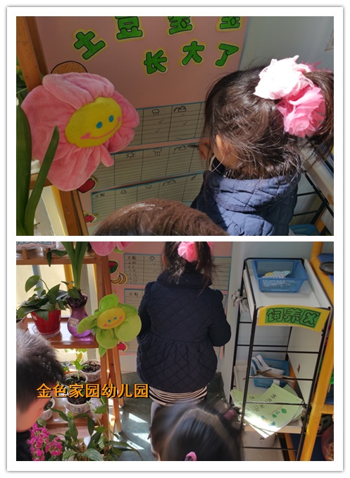 附件：initpintu_副本3.jpg