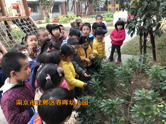 附件：新建文件夹IMG_2588.JPG