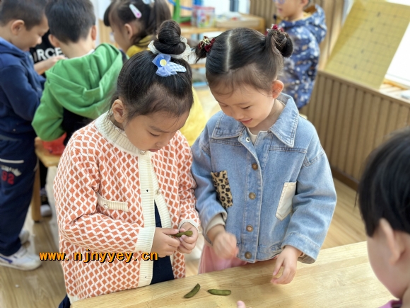 附件：IMG_7102(20221025-161055).JPG