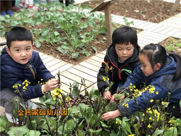 附件：IMG_1383_鍓湰.jpg
