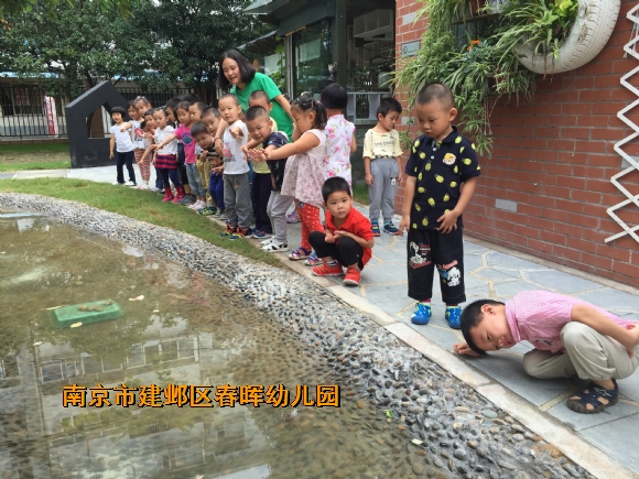 附件：IMG_0803.JPG