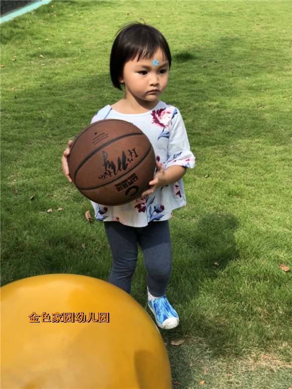 附件：IMG_5928.jpg