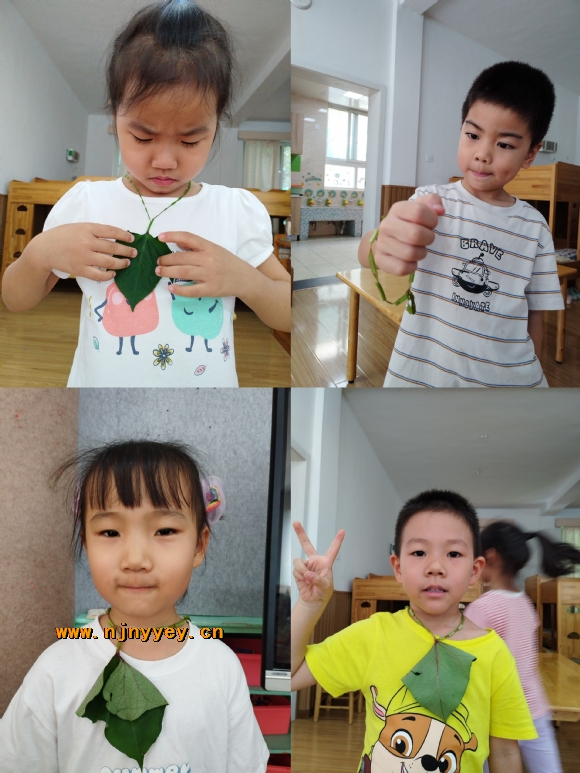 附件：11.jpg