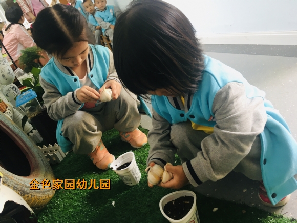 附件：IMG_E2465.JPG