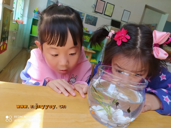 附件：IMG_20210409_103709.jpg