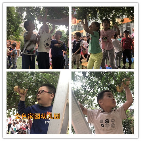 附件：b.jpg