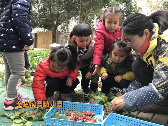 附件：IMG_4360.JPG