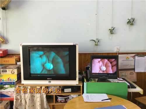 附件：IMG_3419.jpg