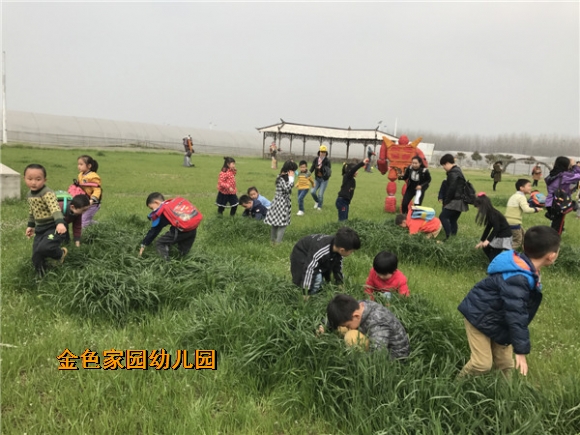 附件：IMG_0690.JPG