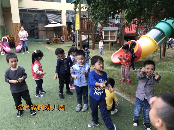附件:IMG_3055.JPG 附件:IMG_3055.JPG