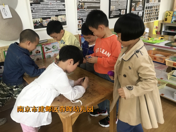附件：IMG_7950.JPG