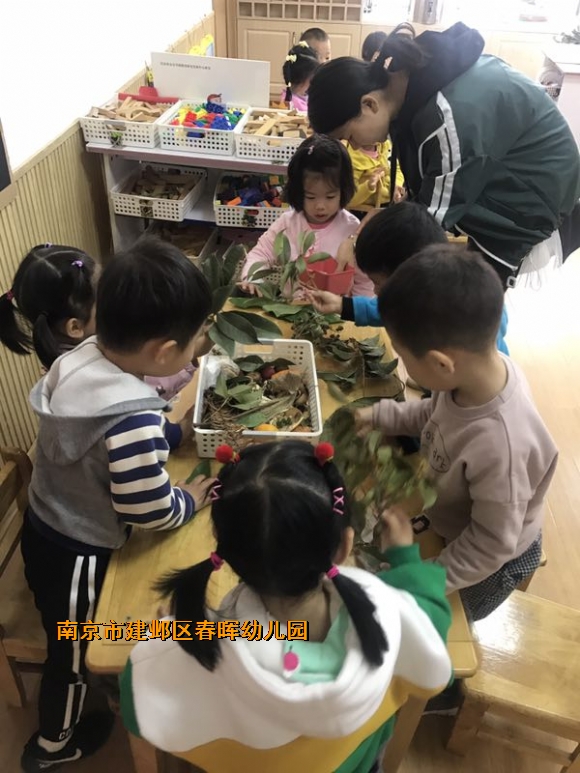 附件：IMG_6146.JPG