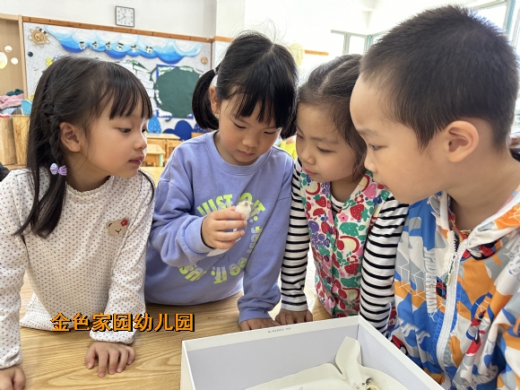 附件:IMG_5504.JPG 附件:IMG_5504.JPG