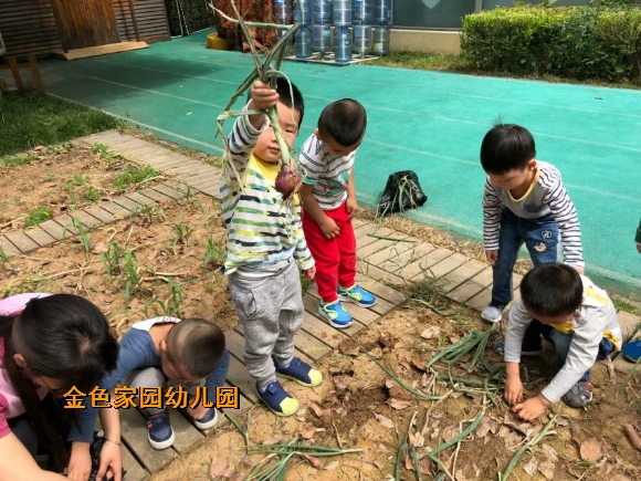附件：IMG_6989.JPG