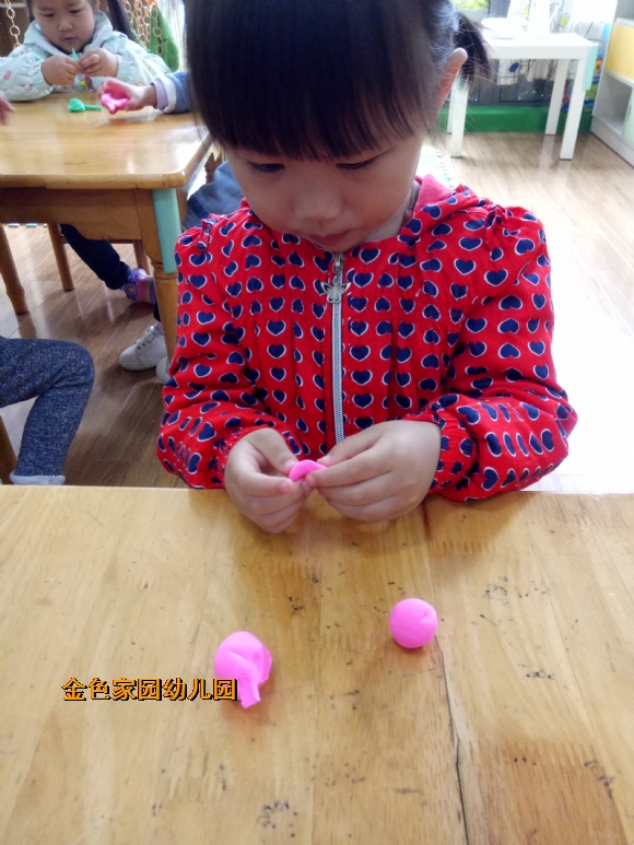 附件：IMG20170426103432.jpg