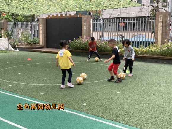附件：IMG_7317.JPG