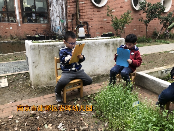 附件：IMG_4437.JPG