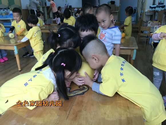 附件：IMG_2235.JPG