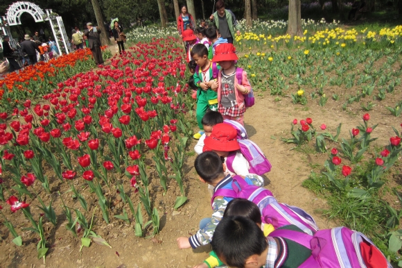 附件:IMG_0013.JPG 附件:IMG_0013.JPG