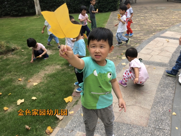 附件：IMG_6572.JPG