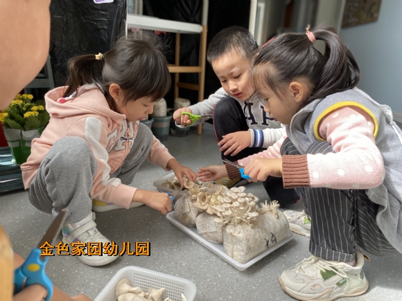 附件：IMG_3547.JPG