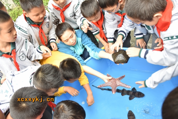附件：DSC_2364.jpg
