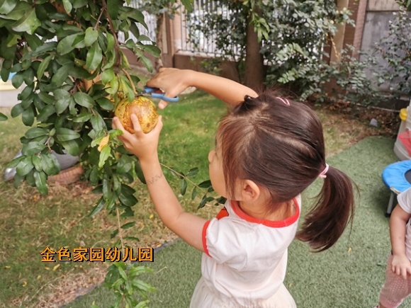附件：g.jpg