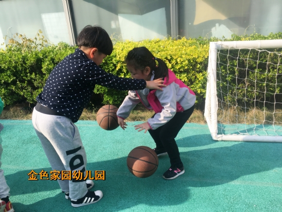 附件：IMG_6235.jpg