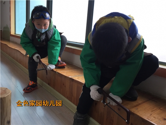 附件：IMG_0537.JPG