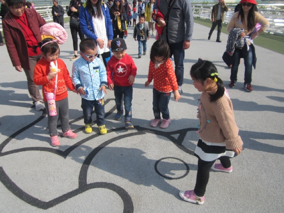 附件:IMG_8233.JPG 附件:IMG_8233.JPG