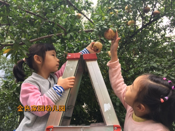 附件：45571264796712028.jpg