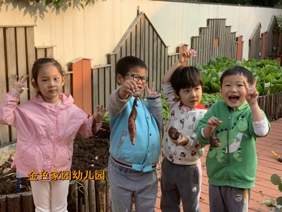 附件:mmexport1668389526860.jpg 附件:mmexport1668389526860.jpg