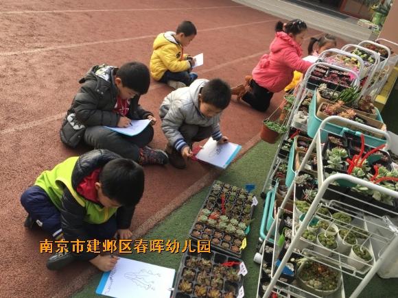 附件：conew_新建文件夹 (3)img_6624.jpg