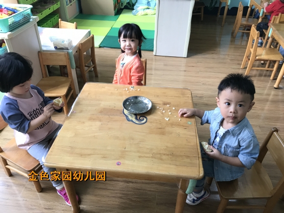 附件：IMG_1769.JPG