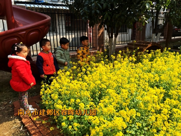 附件：conew_img_8488.jpg