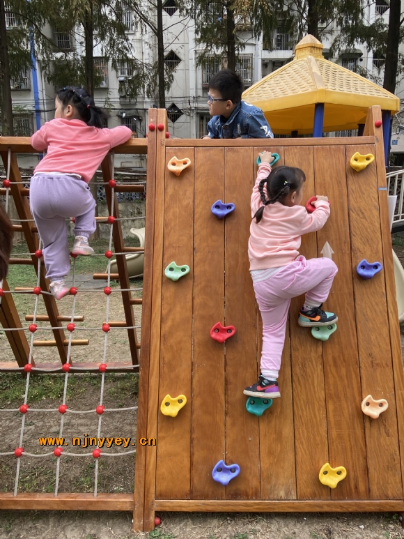 附件：IMG_7970(20201117-150647).JPG