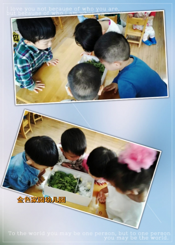 附件：pt2017_05_18_12_54_14.jpg