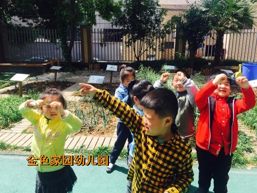 附件：22.jpg