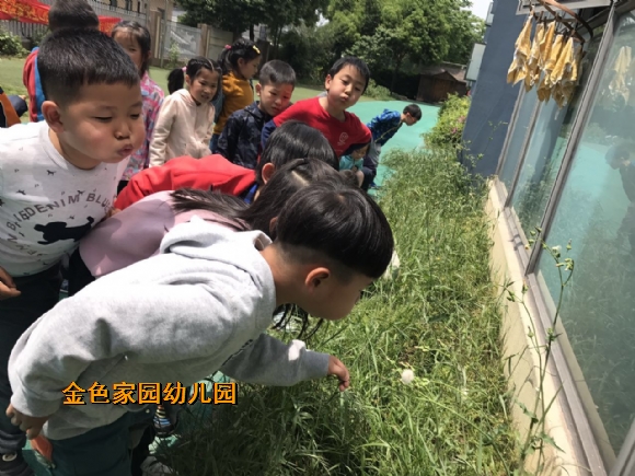 附件：tt.jpg