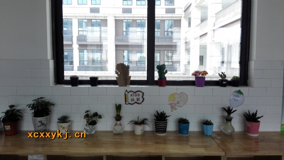 附件：IMG_20180225_121205.jpg