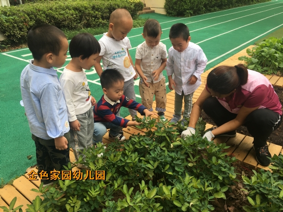 附件：IMG_7941.JPG