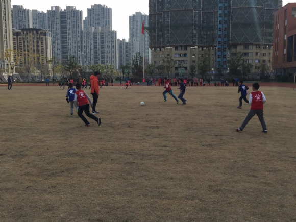 附件：IMG_2617.JPG