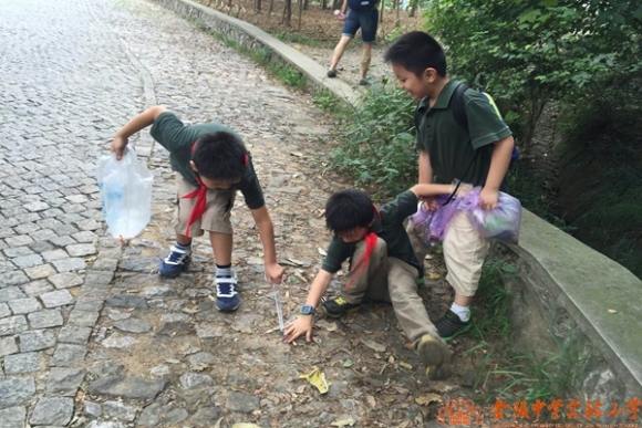 附件：1 (6).jpg