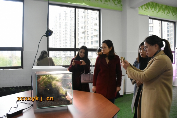 附件：DSC_3163.jpg