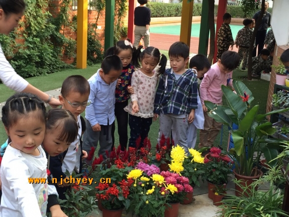 附件：conew_img_1675.jpg